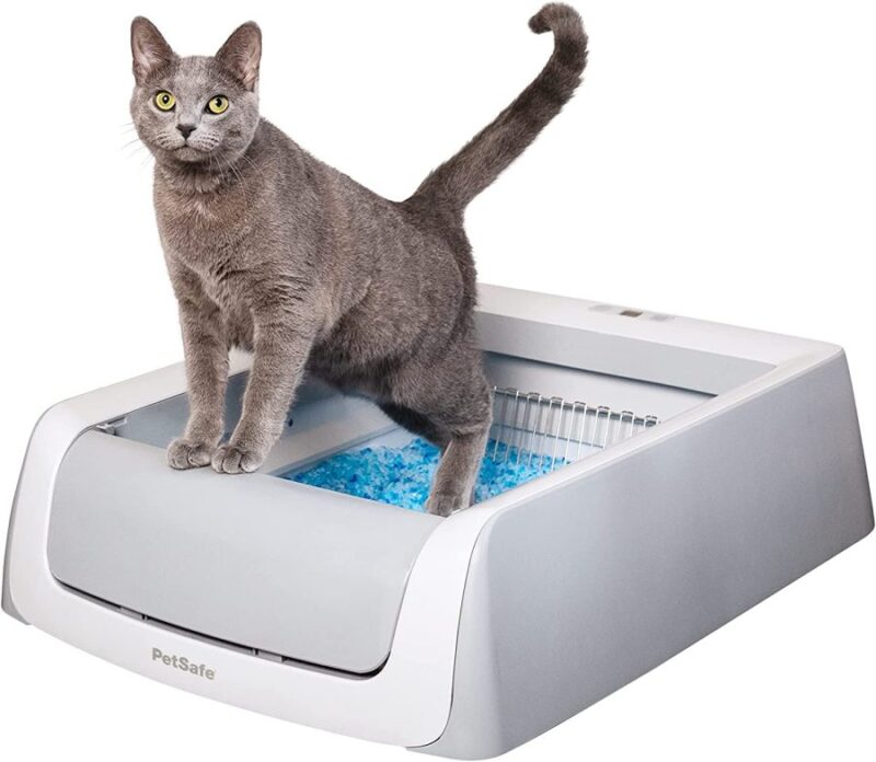 Petsafe Self-cleaning cat litter box feature image